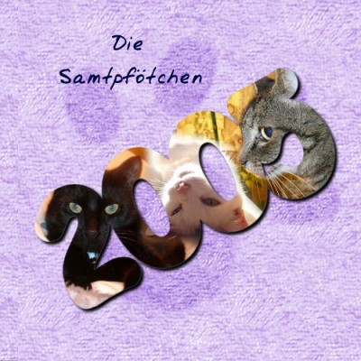 Samtpfoetchen Fotobuch 2005 (1/42)