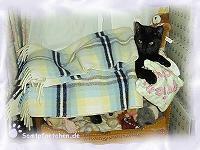 Flory macht es sich im Puppenbett gem&uuml;tlich.
