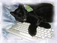 Flory, nicht die Tastatur fressen.
