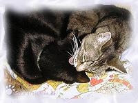 unser Liebesp&auml;rchen (3)