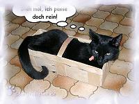 Sag niemals: Da passt du nicht rein!