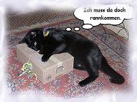 Ein Karton voll mit Silberkugeln.