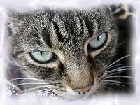 Trienchen, was guckst du so?