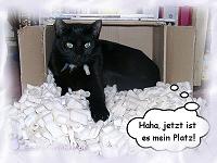 richtig verpackt (2)