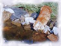 Wer trinkt denn da den Teich leer?