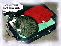 Ich packe meinen Koffer und tue hinein ...