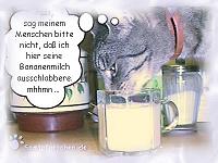 Trienchens normale Tischmanieren