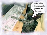 Trienchen, die Computer Katze