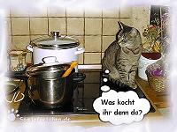 Chefk&ouml;chin