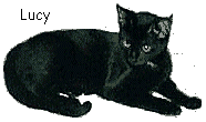 Lucy