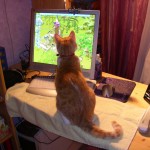Moni am PC