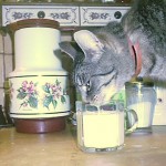 Trienchen trinkt Bananenmilch