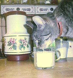 Trienchen trinkt Bananenmilch