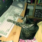 Trienchen am Computer