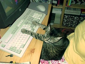 Trienchen am Computer