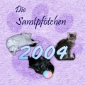 fb2004-01q
