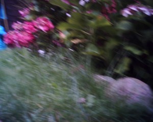 20070802_IMG_0033