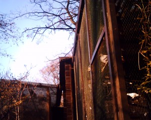 20071119_IMG_0130