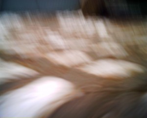 20080104_IMG_0220