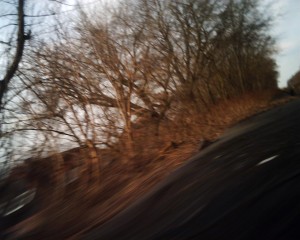 20080205_IMG_0229
