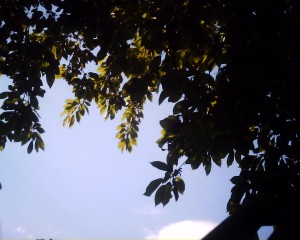 20080522_IMG_0349