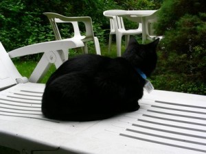 2007-07-31_04k
